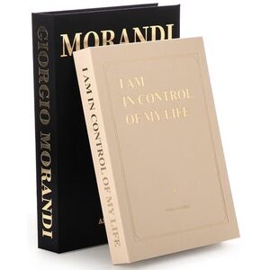 Set of 2 Faux books with Storage